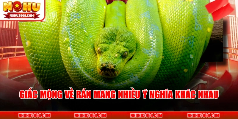Giấc mộng về rắn mang nhiều ý nghĩa khác nhau